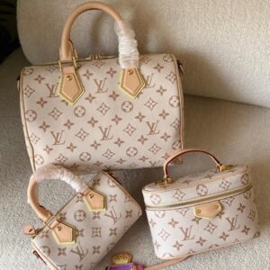 Louis Vuitton Womens Bag